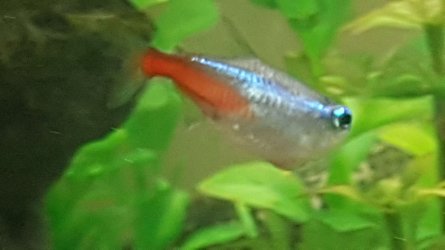 20171107_181142.jpg