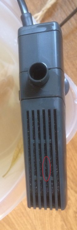 2mIMG_0499.jpg