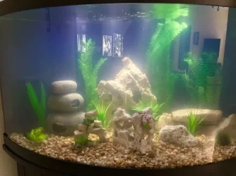 Tank2.webp