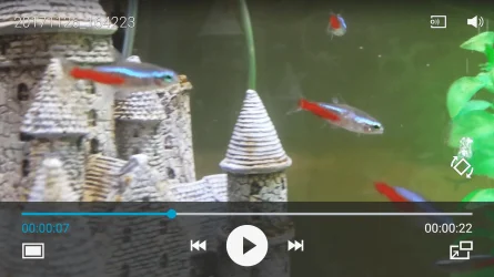 Screenshot_2017-11-26-16-44-59.webp