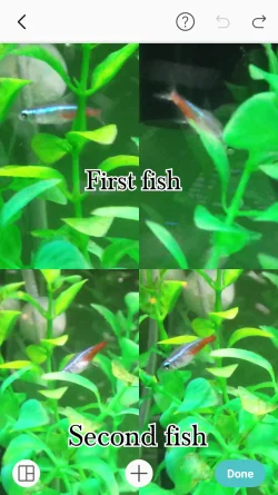 Screenshot_2017-12-05-22-49-31.webp