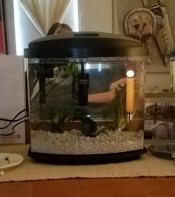 20171230_080716.jpg