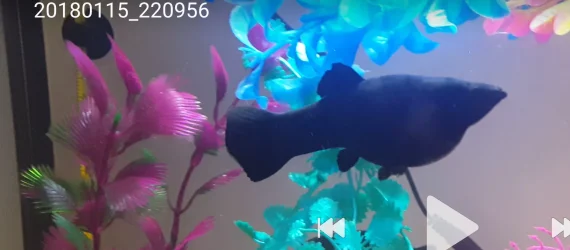 20180115_231629.webp