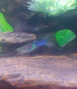20180126_182954-1.jpg