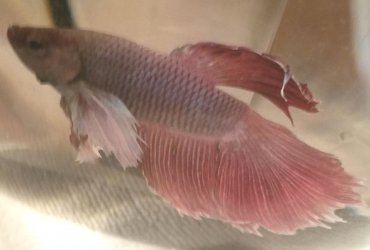 20180129_101215.jpg