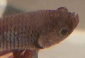 20180129_094223.jpg