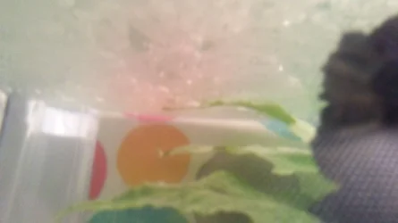 20180207_221241.webp