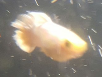 20180209_002317.jpg