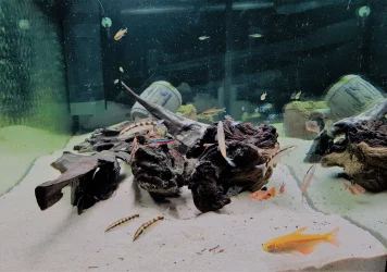 20180218_182916 (2).webp