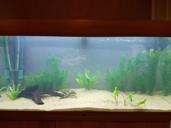 Tank_full.jpg