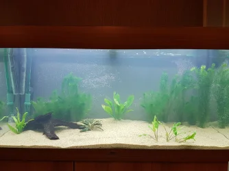 Tank_full.webp