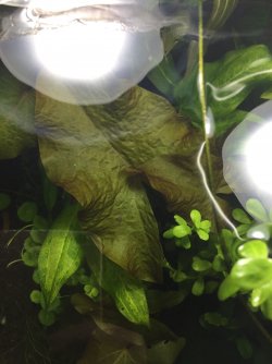 2A2CF764-2109-413B-AC0E-BC6ADC6A0B9B.jpeg