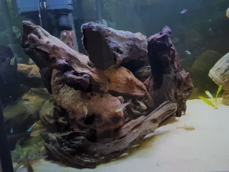 20180324_002509 (2).webp