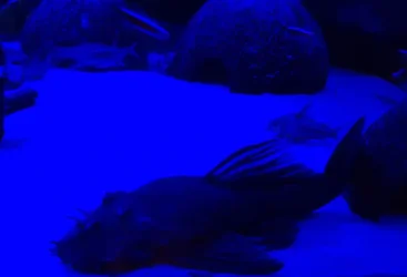 20180327_000513.webp