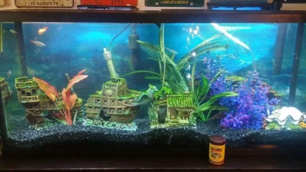 20180327_092423_HDR.webp
