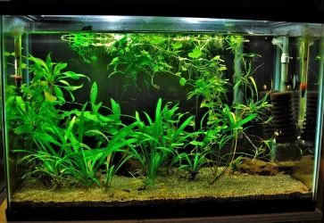 20g QT Aug 23-13.webp