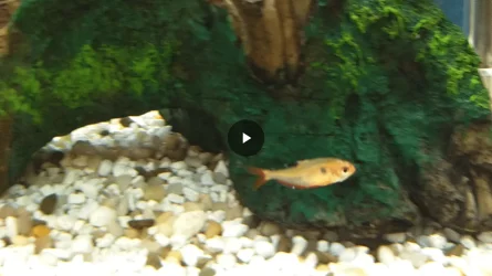 Screenshot_20180422-091525.webp