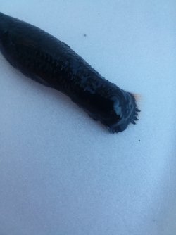 20180425_074147.jpg