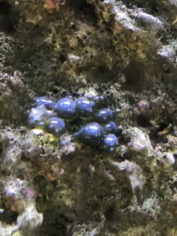 IMG_2785.JPG
