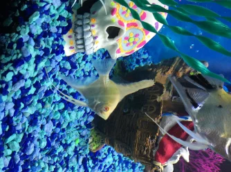 image2.webp