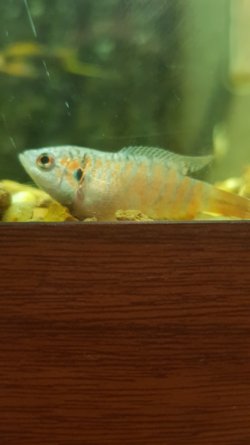 20180529_184807-1701x3024.jpg