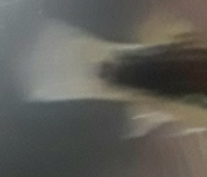 20180602_002959.jpg