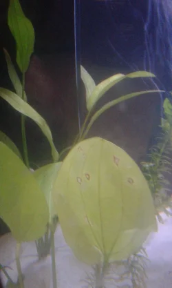 20180608_100838.webp