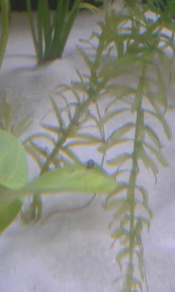 20180608_104841.webp