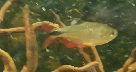 20180609_105418.webp