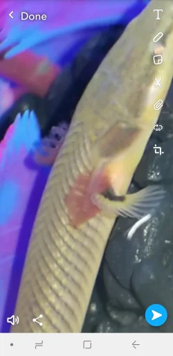 Screenshot_20180624-220004_Snapchat.webp