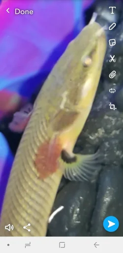 Screenshot_20180624-215949_Snapchat.webp