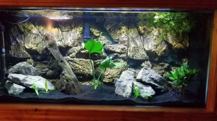30gal.webp