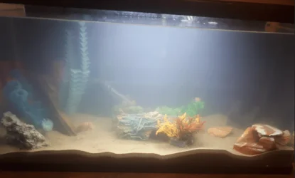 tank.webp