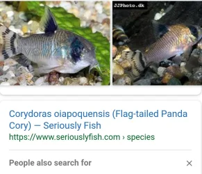 Screenshot_20180718-210906.webp
