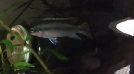 IMG_20180923_123333769.webp