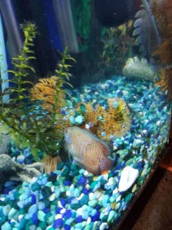 20180924_095523-1512x2016.webp