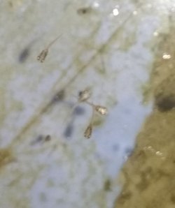 IMG_20181013_195311.jpg