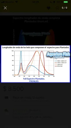 808C3CAA-1A48-4438-A514-D0F25D46A402.webp