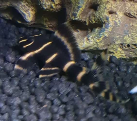 20181030_211537.webp