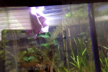 Photo on 11-4-18 at 08.47.webp