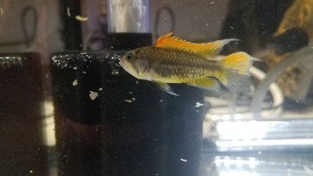20181202_140236.jpg 20181202_140236.jpg