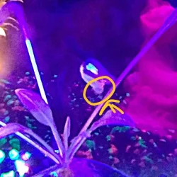 CYMERA_20181225_112847.webp