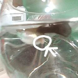 CYMERA_20181225_192627.webp