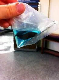 betta 4.webp