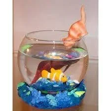 betta 58.webp