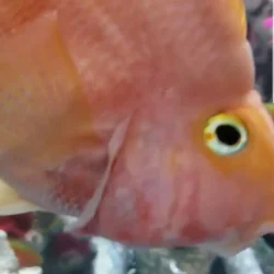 20190107_222553.webp
