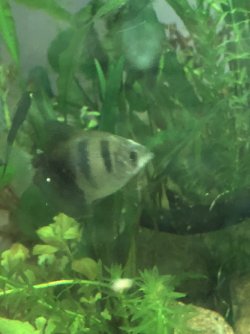 IMG_2315.jpeg