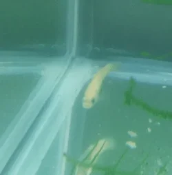 Capture+_2019-02-23-23-09-08.webp
