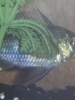 20190228_092315.jpg