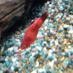 IMG_20190409_184007.webp
